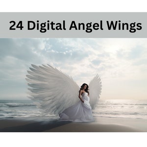 24 Digital backdrops, Angel Wings Digital Backgrounds, Studio Backdrops, Photoshop Backdrops, Maternity Backdrops