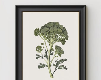 Oeuvre de téléchargement numérique BROCCOLINI - botanique, dessin, traditionnel, illustration, légumes, brocoli, jardinage
