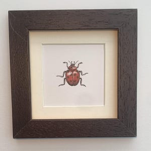 Miniatura originale di coccinella incorniciata e pronta da appendere