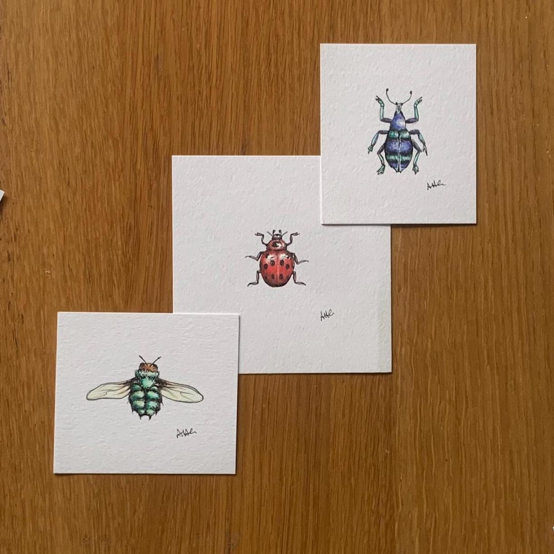 Trio of Bugs. Original Signed Miniature Artworks - Etsy