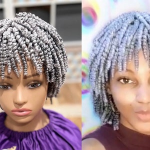 Gray Spiral Braided Wig