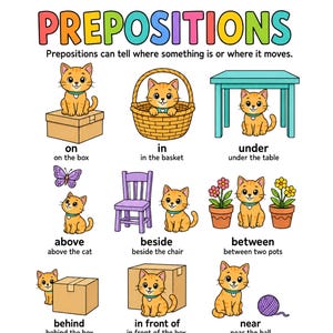 Op de afbeelding: Een educatieve poster met de titel PREPOSITIONS met twaalf cartoonillustraties van een oranje cyperse kat die ruimtelijke relaties demonstreert met objecten zoals een doos, mand, tafel, stoel, bloempotten, een bal, een boomstam en een voerbak.