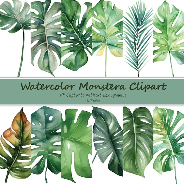 Watercolor Monstera Leaves Clipart, 67 monstera leaf PNG clip art graphics, instant download for commercial use, transparent background