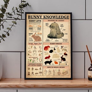 Bunny Knowledge Poster, Bunnies Poster, Bunny Lover Gift, Bunnies Print, Bunny Gifts, Bunny Wall Art, Bunnies Decor, Bunny Wall Hanging