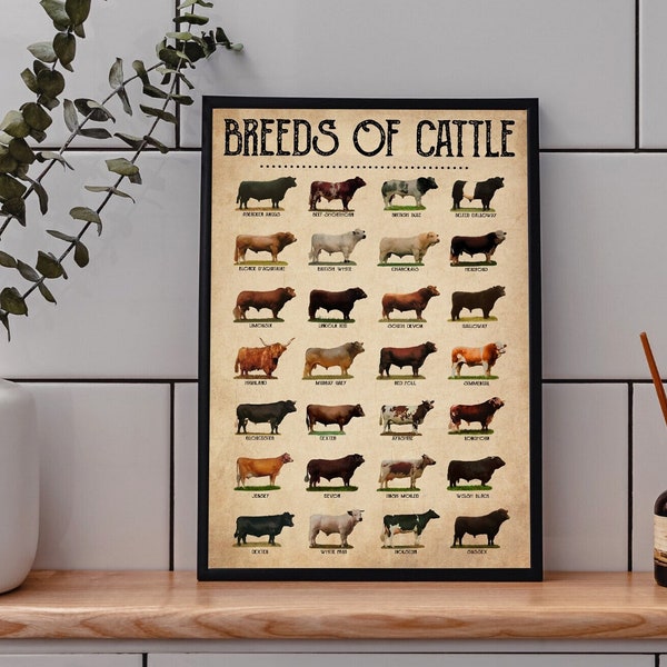 Breeds Of Cattle Poster, Cattle Print, Cattle Art, Cattle Decor, Cattle Wall Art, Cattle Poster, Cattle Wall Hanging, Cattle Lover Gift