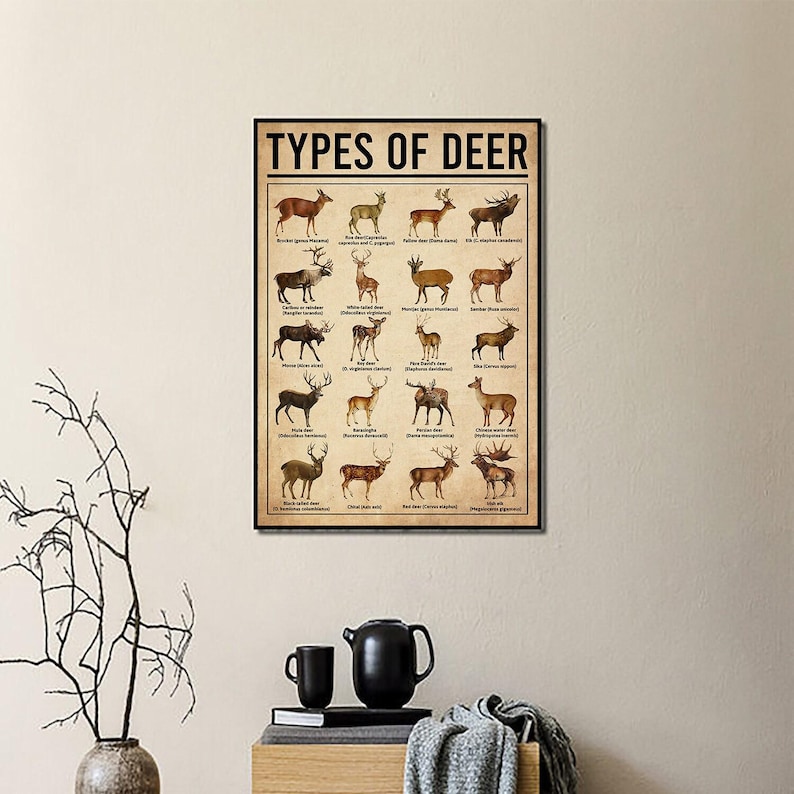 Types Of Deer Poster, Deers Print, Deer Art, Deers Decor, Deer Wall Art, Deers Poster, Deer Wall Hanging, Deer Lover Gift, Deer Hunting image 3