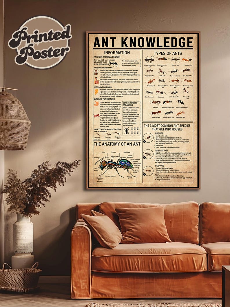 Ant Knowledge Poster, Types of Ants Vintage Poster, Ant Lover Gift ...