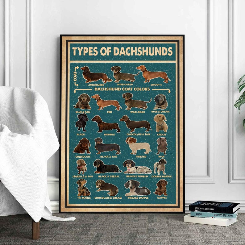 Types Of Dachshunds Poster, Dachshund Poster, Dachshund Art Print, Dachshund Wall Decor, Dachshund Art, Dachshund Wall Hanging image 1