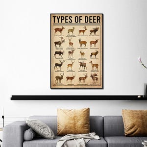 Types Of Deer Poster, Deers Print, Deer Art, Deers Decor, Deer Wall Art, Deers Poster, Deer Wall Hanging, Deer Lover Gift, Deer Hunting image 5