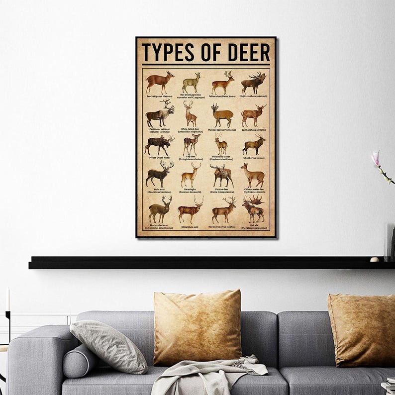 Types Of Deer Poster, Deers Print, Deer Art, Deers Decor, Deer Wall Art, Deers Poster, Deer Wall Hanging, Deer Lover Gift, Deer Hunting image 5