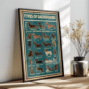 The image is a poster or framed illustration of various types of dachshunds, each labeled with a different color. The poster is displayed on a wooden surface, with a vase of flowers to the right.