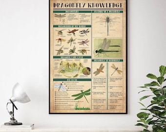 Póster de conocimiento sobre libélulas, anatomía de una libélula, impresión vintage, libélulas del mundo, póster vintage de libélulas, regalo de libélula