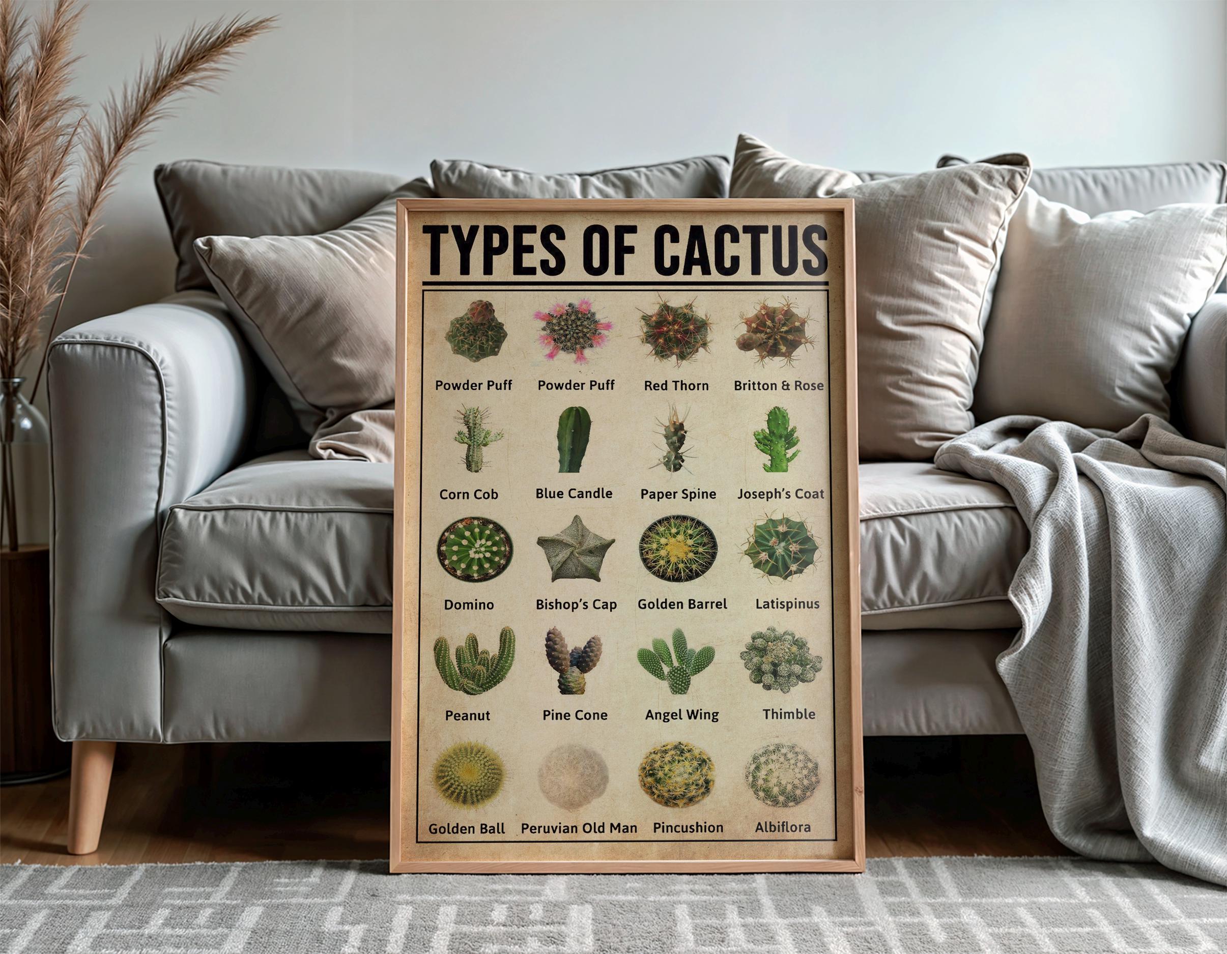 Vintage Cactus Poster, Desert Species Cactus Knowledge Poster ...
