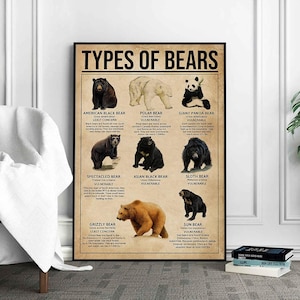 Types Of Bears Poster, Bears Print, Bears Art, Bears Decor, Bears Wall Art, Bears Poster, Bears Wall Hanging, Bear Lover Gift