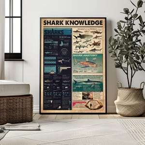 Sharks Vintage Poster, Types of Sharks, Sharks of the World, Nautical, Shark Anatomy, Sharks lover gift, Beach House Decor, Shark facts rint