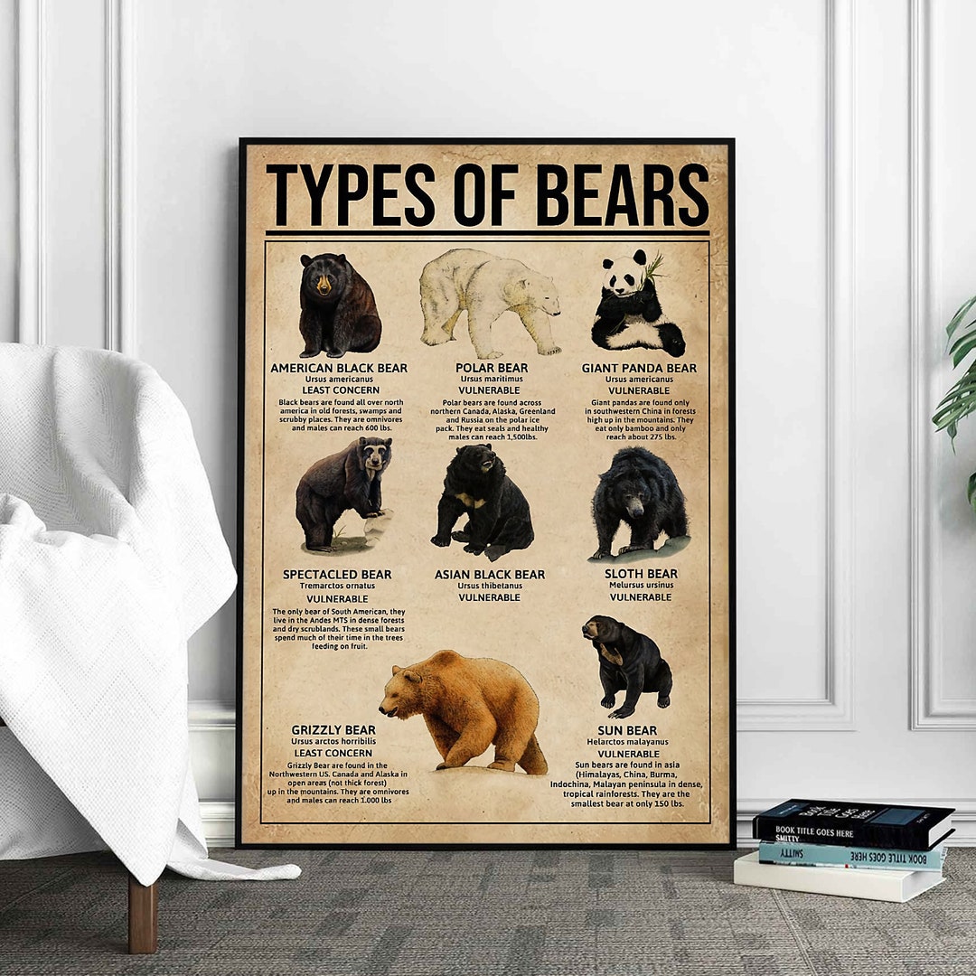 Types of Bears Poster, Bears Print, Bears Art, Bears Decor, Bears Wall