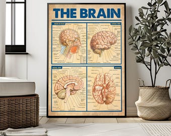 Póster de anatomía cerebral, arte mural, pósteres vintage de neurología, impresión anatómica del cerebro, regalo de neurólogo, decoración de pared de la facultad de medicina.