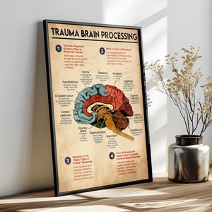 Trauma Brain Processing Poster, Mental Health Poster, Brain Anatomy ...
