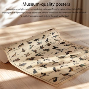 a close up of a paper with birds on it