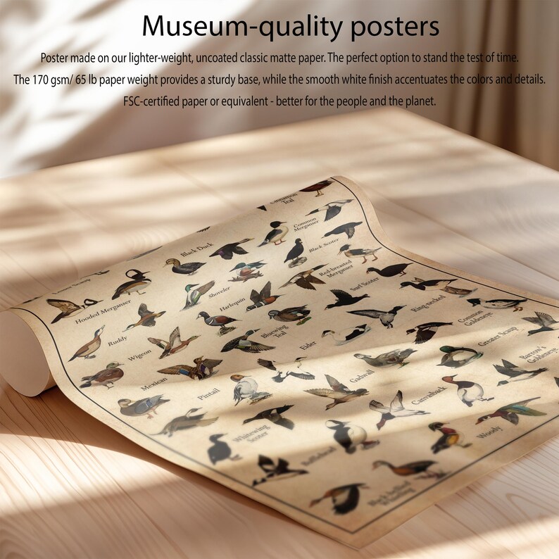 a close up of a paper with birds on it