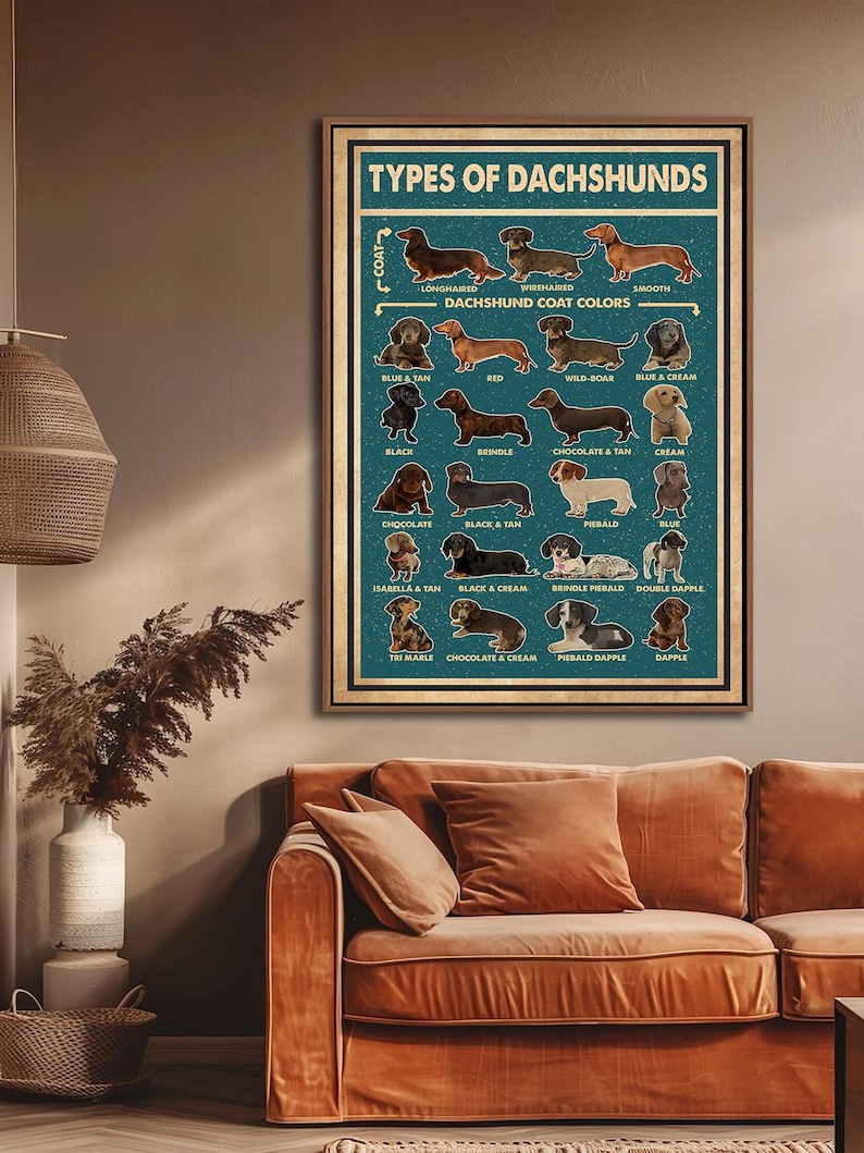 a poster of different types of dachshunds, including various breeds and colors, hanging on a wall above a brown couch in a living room.