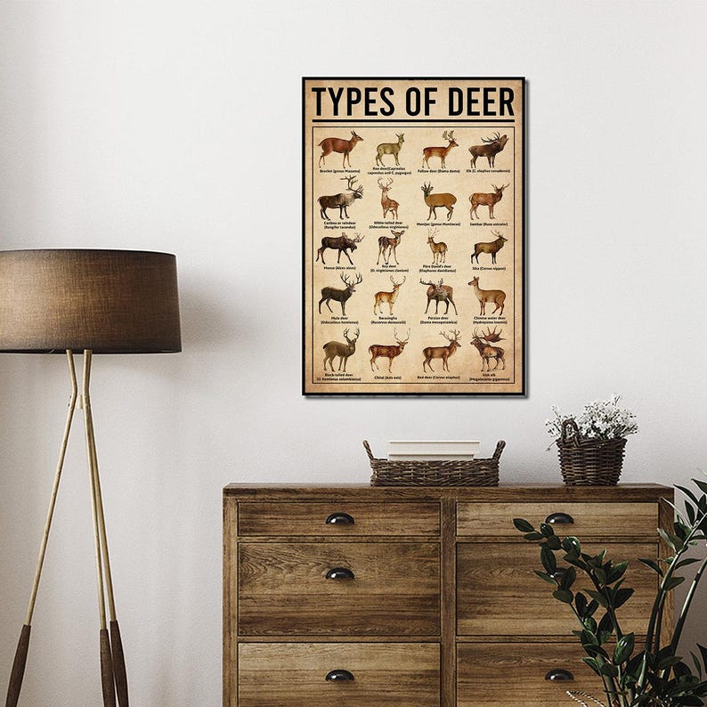 Types Of Deer Poster, Deers Print, Deer Art, Deers Decor, Deer Wall Art, Deers Poster, Deer Wall Hanging, Deer Lover Gift, Deer Hunting image 4