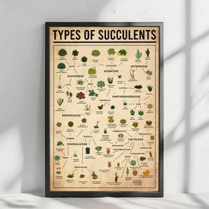 Types Of Succulents Vintage Poster, Knowledge Wall Art, Succulent Wall Art, Plant Art, Gardening Decor, Succulent Lover Gift, Succulent Art