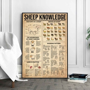 Sheep Knowledge Poster, Sheeps Print, Sheep Art, Sheep Decor, Sheep Wall Art, Sheep Poster, Sheep Wall Hanging, Sheep Anatomy