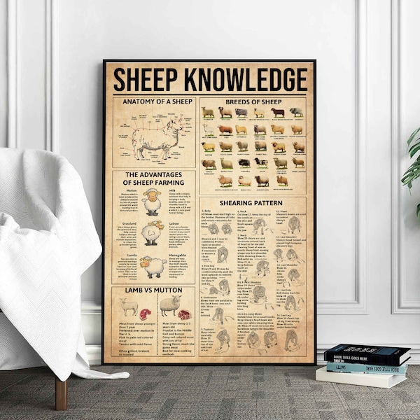 Sheep Knowledge Poster, Sheeps Print, Sheep Art, Sheep Decor, Sheep Wall Art, Sheep Poster, Sheep Wall Hanging, Sheep Anatomy