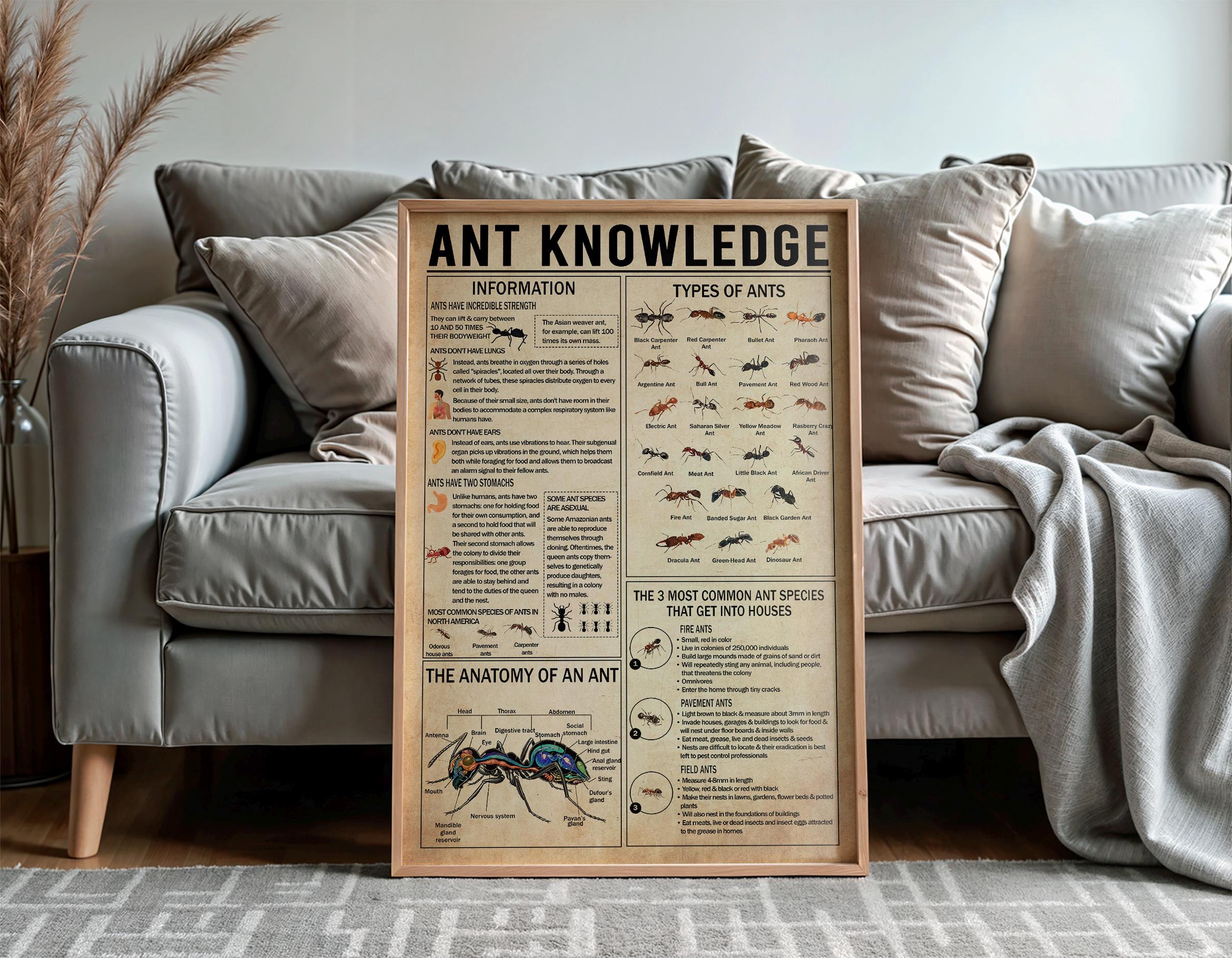 Ant Knowledge Poster, Types of Ants Vintage Poster, Ant Lover Gift ...