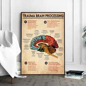Trauma Brain Processing Poster, Mental Health Poster, Brain Anatomy ...
