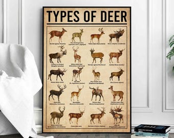 Types Of Deer Poster, Deers Print, Deer Art, Deers Decor, Deer Wall Art, Deers Poster, Deer Wall Hanging, Deer Lover Gift, Deer Hunting