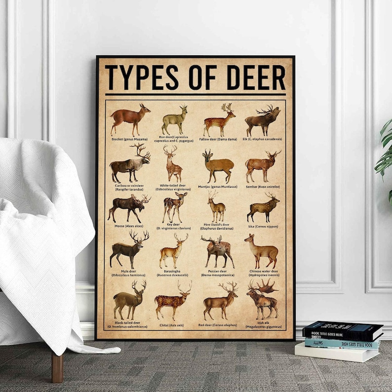 Types Of Deer Poster, Deers Print, Deer Art, Deers Decor, Deer Wall Art, Deers Poster, Deer Wall Hanging, Deer Lover Gift, Deer Hunting image 1
