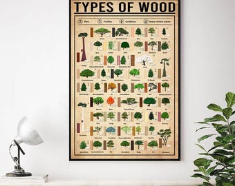Holzarten Poster, Holzwissensposter, Capentry Wissensposter, Holzwissensposter