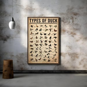Types of duck poster, Vintage Field Guide Duck Art Prints - Game Bird Art for Office Man Cave Lake House or Cabin - Rustic Hunting Decor