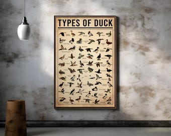 Arten von Entenplakat, Vintage Field Guide Duck Art Prints - Spielvogel Kunst für Büromannhöhle Seehaus oder Hütte - Rustikales Jagddekor