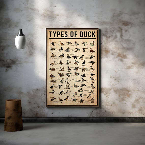 Types of duck poster, Vintage Field Guide Duck Art Prints - Game Bird Art for Office Man Cave Lake House or Cabin - Rustic Hunting Decor