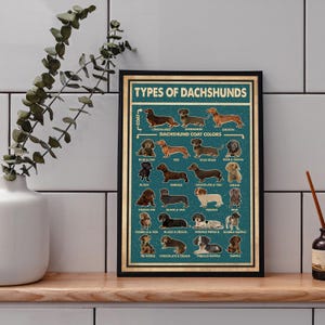 Types Of Dachshunds Poster, Dachshund Poster, Dachshund Art Print, Dachshund Wall Decor, Dachshund Art, Dachshund Wall Hanging image 2