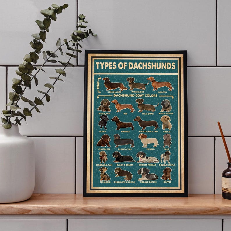 Types Of Dachshunds Poster, Dachshund Poster, Dachshund Art Print, Dachshund Wall Decor, Dachshund Art, Dachshund Wall Hanging image 2