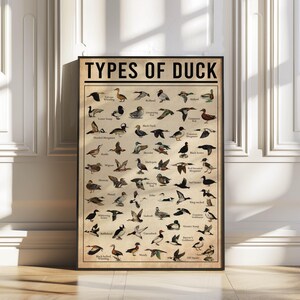 a poster with a bunch of birds on it