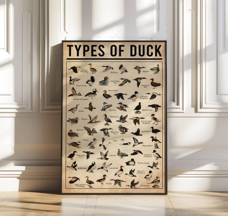 a poster with a bunch of birds on it
