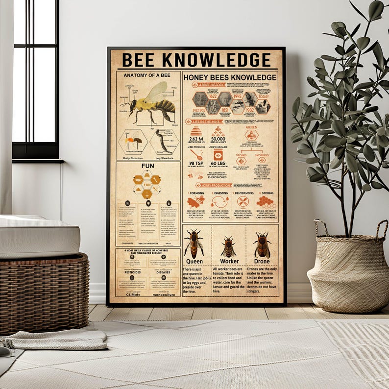 Bee Knowledge Poster, Honey Bee Fun Facts, Bee Wall Art, Honey Bee Art ...