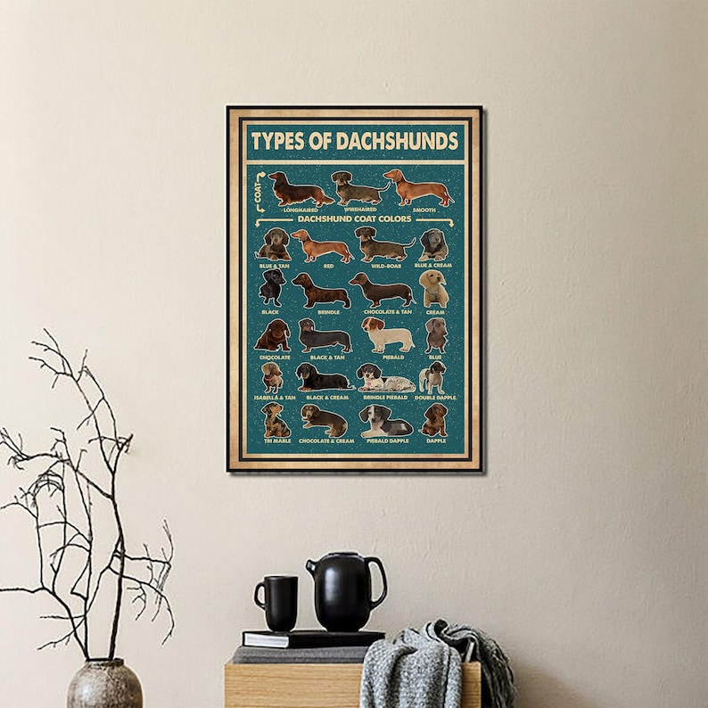 Types Of Dachshunds Poster, Dachshund Poster, Dachshund Art Print, Dachshund Wall Decor, Dachshund Art, Dachshund Wall Hanging image 3