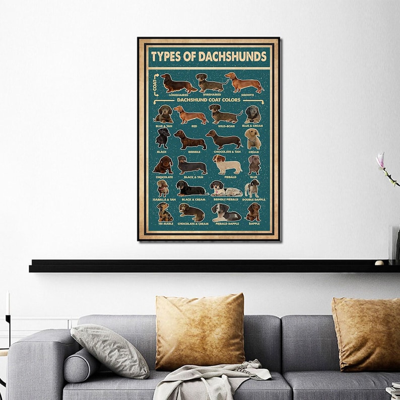 Types Of Dachshunds Poster, Dachshund Poster, Dachshund Art Print, Dachshund Wall Decor, Dachshund Art, Dachshund Wall Hanging image 5
