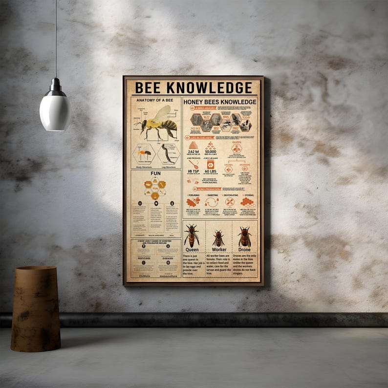Bee Knowledge Poster, Honey Bee Fun Facts, Bee Wall Art, Honey Bee Art ...