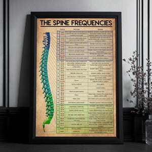 Poster wervelkolom frequenties, poster wervelkolom anatomie, menselijke wervelkolom, chiropractor cadeau, fysiotherapeut, cadeau orthopedisch arts, ruggenmerg kunst