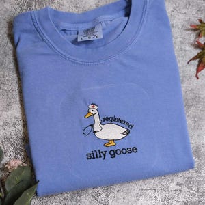 a blue t-shirt with a cartoon goose and the text "registered silly goose" printed on it, along with some leaves and flowers on a textured surface.