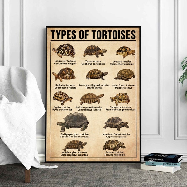 Types Of Tortoises Poster, Tortoises Print, Tortoises Art, Tortoises Decor, Tortoises Wall Art, Tortoises Poster, Tortoises Wall Hanging