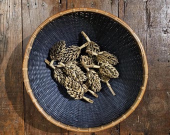 5 Gold or Silver Southern Magnolia Seed Pods for Arts & Crafts - Unique Decor for Wreaths, Centerpieces, Weddings, Holidays and DIY Projects
