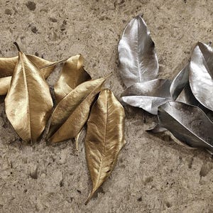 5 Dried Gold or Silver Southern Magnolia Leaves for Crafting & Decoration - Perfect for Weddings, Holiday Decorations, Home Decor, DIY